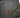 Tapis de Terrarium pour Dragon Barbu - Substrat de Reptile Confortable