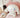 Jouet Peluche Grand Format de Cinnamoroll, le Mignon Chien à Grandes Oreilles - Idéal Cadeau d'Anniversaire pour Enfants - Personnage de Dessin Animé Sanrio Japonais