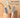 Brosse Double Face Anti-Poils - Nettoyage Efficace et Polyvalent
