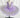 Tutu de Danse Professionnel Blue Bird Purple 2024 - Robe de Ballet Tutu Classique avec Bordures à Volants pour Filles et Femmes en Performance