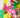 Lot Ballons Tropicaux - Décoration Fête Hawaïenne